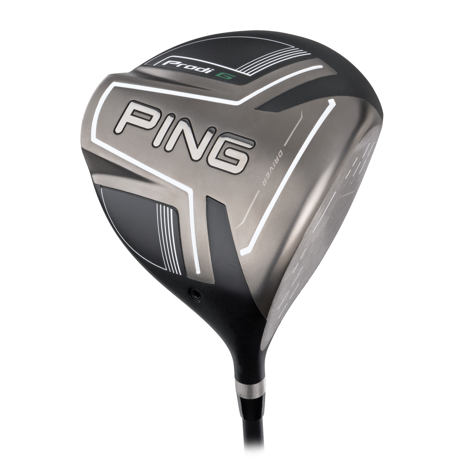 Ping Prodi G (Small)